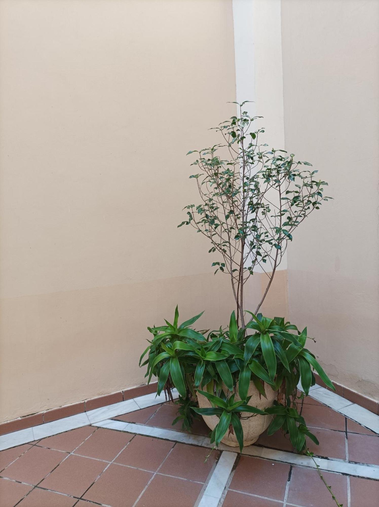Apartamento De Lux Sevilla Este Buitenkant foto